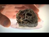 Planet Ant – Life Inside the Colony BBC (2012)