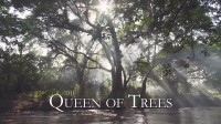 The Queen of Trees – PBS (2006)