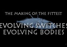 The Making of the Fittest: Evolving Switches, Evolving Bodies – HHMI – Sean Carrol (2012)