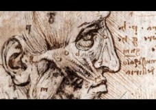 Leonardo Da Vinci the Anatomist – Nature Video