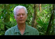 James L. Hamrick interview – Organization for Tropical Studies (OTS) – (2014)