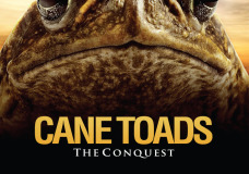 Cane Toads: The Conquest – Mark Lewis (2010)
