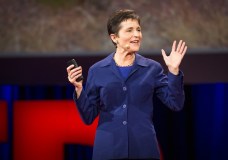 What Ants Teach Us? – Deborah Gordon TED Talk (2014)