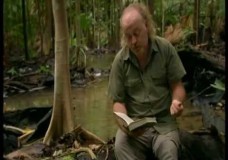 Wallace in Borneo – Bill Bailey’s Jungle Hero – BBC (2013)