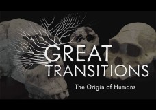 Great Transitions: The Origin of Humans – Rob Whittlesey – HHMI (2014)