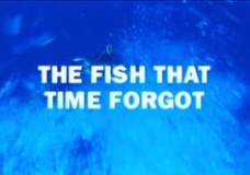 Coelacanth: The Fish That Time Forgot – PBS NOVA (2001)