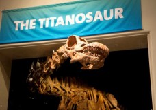 Attenborough and the Giant Dinosaur – BBC (2016)