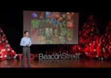 Decoding the Chemical Language of Nature – Jing-Ke Weng | TEDxBeaconStreet (2015)