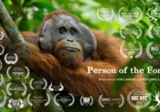 Person of the Forest – Melissa Lesh/Tim Laman (2017)