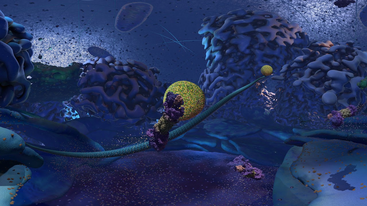 A Virtual Tour of a Cell – XVIVO Scientific Animation (2018) | Natural