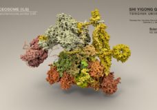 Structure of a Spliceosome: Molecular Framework for Understanding Pre-mRNA Splicing – Beauty of Science