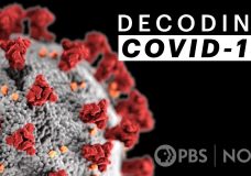 Decoding COVID-19 – Sara Holt | NOVA / PBS (2020)