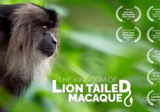 The Kingdom of the Lion Tailed Macaque – Poorna Kedar (2019)