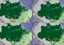 A Satellite-eye View of Three Decades of Deforestation in the Amazon