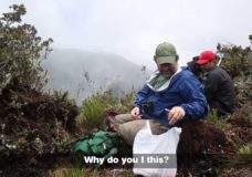 Into Peru in Search of Plants – NYBG (2018)