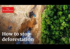 Can Money Stop Deforestation? – The Economist (2023)